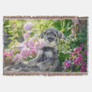 Search for schnauzer blankets Puppy