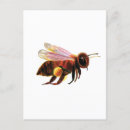 Search for bee painting postcards Honey