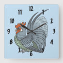 Search for rooster clocks Nature