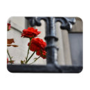 Search for wrought iron Photography