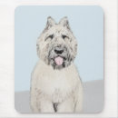 Search for bouvier electronics Bouvier des flandres