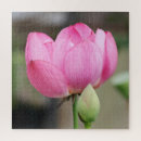 Search for lotus puzzles Nature