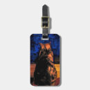 Search for tortie accessories Pet