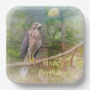 Search for hawks Birthday