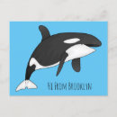 Search for killer postcards Whale