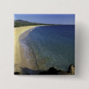 Search for maui badges Coast