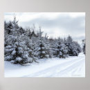Search for low temperature posters Usa