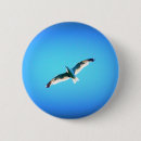 Search for soar badges Blue