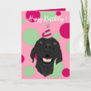 Search for pointer dog cards Hunting dogs