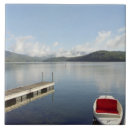 Search for water droplets tiles Tranquil scene