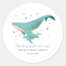 Search for whale stickers Boy