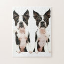 Search for boston terrier puzzles Pet