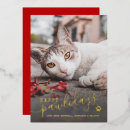 Search for real foil christmas cards Overlay