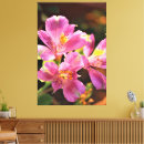 Search for alstroemeria art Floral
