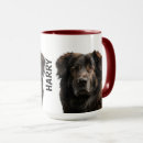 Search for mountain dog mugs Pets