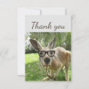 Search for kangaroo thank you cards Animal