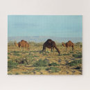 Search for sahara desert puzzles Africa
