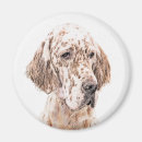 Search for setter magnets English