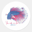 Search for siamese stickers Pink