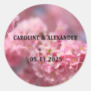 Search for photography stickers Elegant