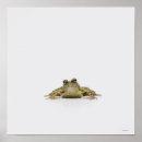 Search for grey scale posters Scales