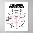 Search for cricket field posters Sixer