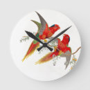 Search for lorikeets posters Exotic