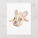 Search for french bulldog mom Cute dog