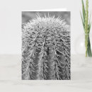 Search for prickly cards Desert