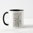 Search for curative mugs Robinet