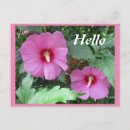 Search for expression photography Floral