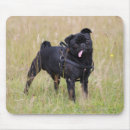 Search for mops mousepads Black
