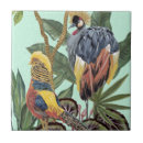 Search for bird tiles Tropical birds