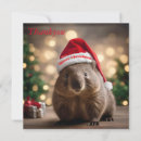 Search for wombat cards Cute