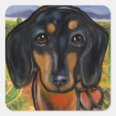 Search for painted desert stickers Arizona