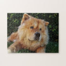 Search for chow chow dog puzzles Cute