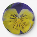 Search for pansy plates Nature