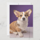Search for corgi thank you cards Canine