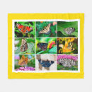 Search for butterfly photo blankets For kids