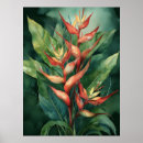 Search for heliconia posters Hawaii