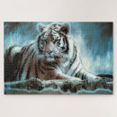 Search for white tiger puzzles Photography
