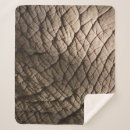 Search for wrinkle Elephant