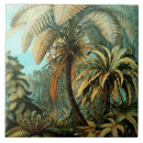 Search for java island Vintage