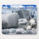 Search for polar bear mousepads Wild