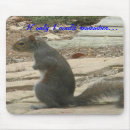 Search for funny squirrel mousepads Nature