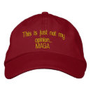 Search for fake hats Politics