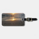 Search for vida Travel
