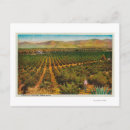 Search for beautiful postcards California