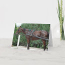 Search for bay horse cards Harness