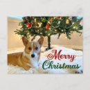Search for dog christmas postcards Puppy
